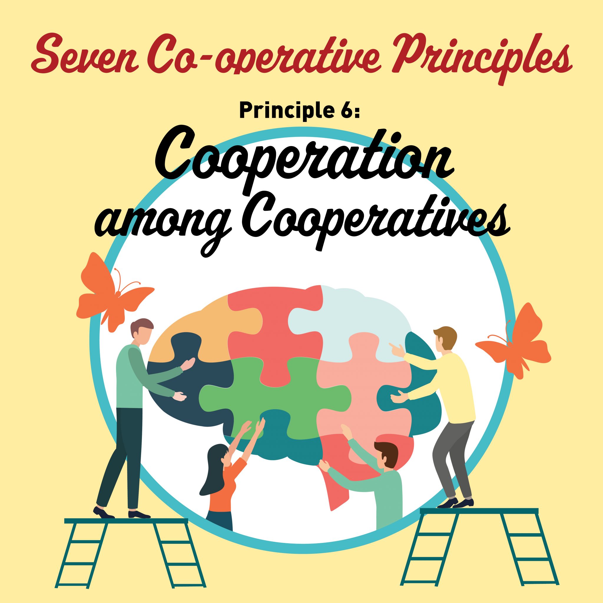 What Is A Co-op? – Davis Food Co-op